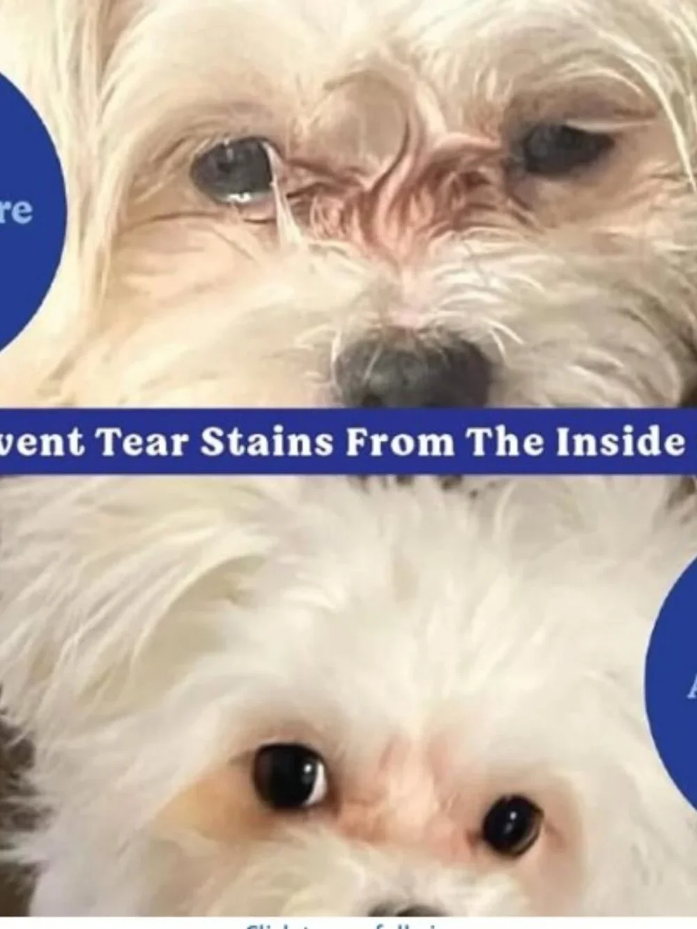 Angel Eyes Natural Plus Tear Stain Prevention for Dogs 2 pk